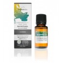 Aceite Esencial Ravintsara (Alcanforero) Ecológico (Cinnamomum camphora QT cineol) 10ml. TERPENIC LABS en Herbonatura.es