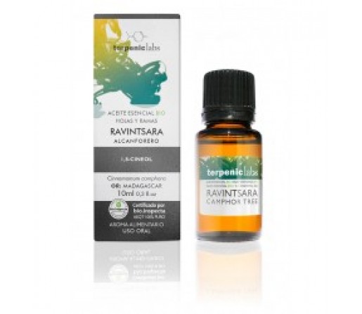 Aceite Esencial Ravintsara (Alcanforero) Ecológico (Cinnamomum camphora QT cineol) 30ml. TERPENIC LABS