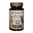 Sal, Salys FeP número 3 Schussler Hierro, Defensas y Circulación 60 comprimidos JELLYBELL en Herbonatura.es