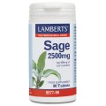 Salvia, Sage 2500mg, 90 comprimidos LAMBERTS