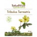 Tribulus Terrestris Orgánico Crudo 250gr. SALUD VIVA