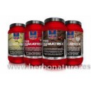 Tri matrix Proteína de 3 matrices 750gr. TEGOR SPORT en Herbonatura.es