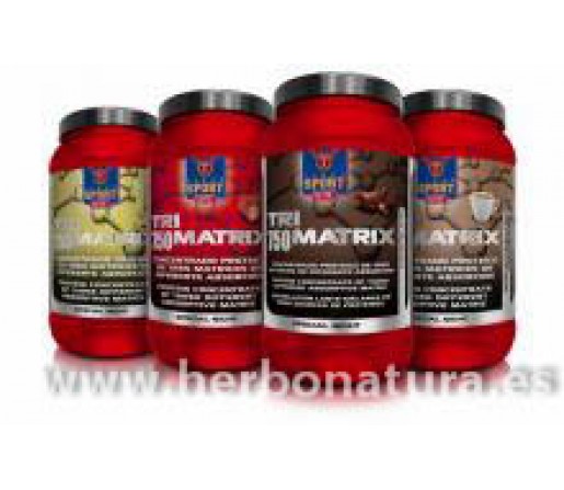 Tri matrix Proteína de 3 matrices 750gr. TEGOR SPORT