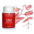 Uxi Endopleura Uxi Salud Intima de la Mujer 90 cápsulas SERPENS