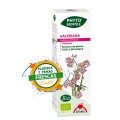 Valeriana Extracto Bio Planta y Yemas Frescas Phyto-biopôle 50ml. INTERSA