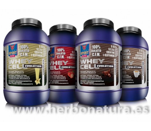Whey Cell Evolution Proteína con creatina, glutamina, BCAA y Q10 1,8kg. Sabor Cookies TEGOR SPORT